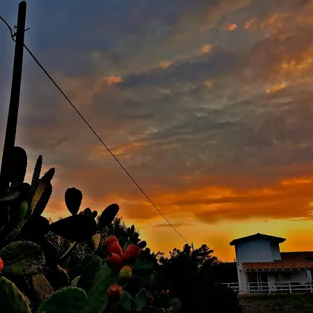 Fanny Porto Pino * SantʼAnna Arresi