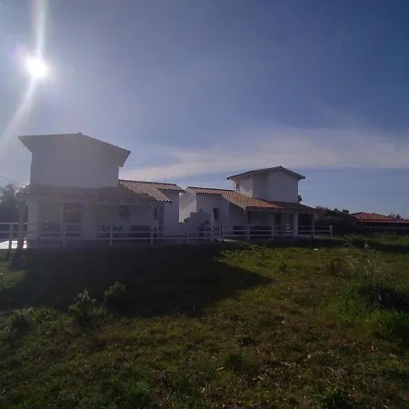 Fanny Porto Pino