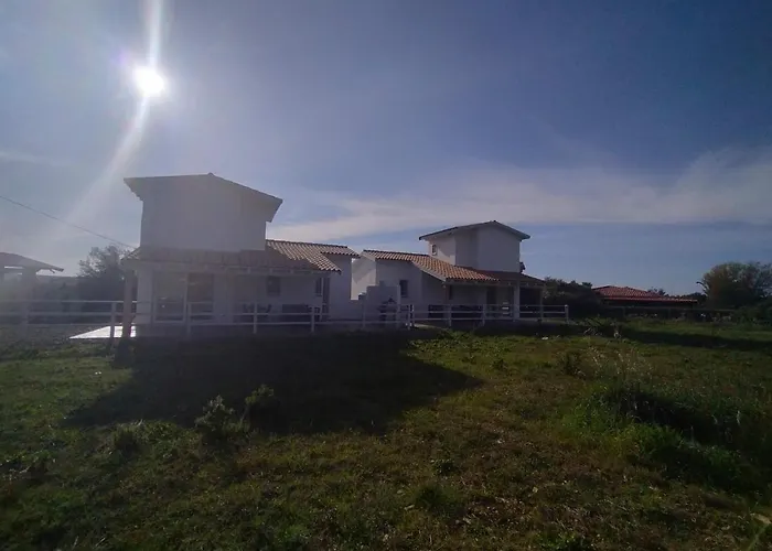 Fanny Porto Pino